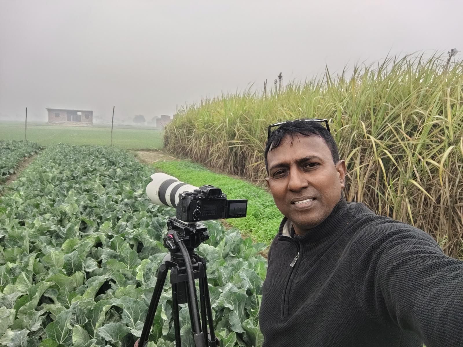 Working Scene 94